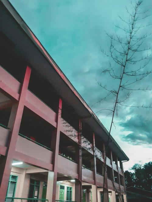 2024年上海考研大学排名表