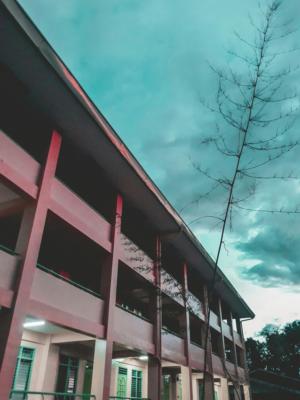 2024年上海考研大学排名表