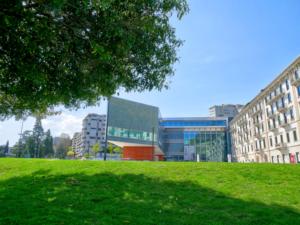 新课程标准的四大核心素养