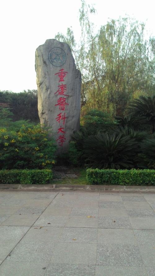 2024年四川省一所大学的排名清单