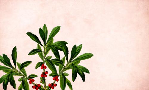 在药店上班需要药剂师证吗知乎