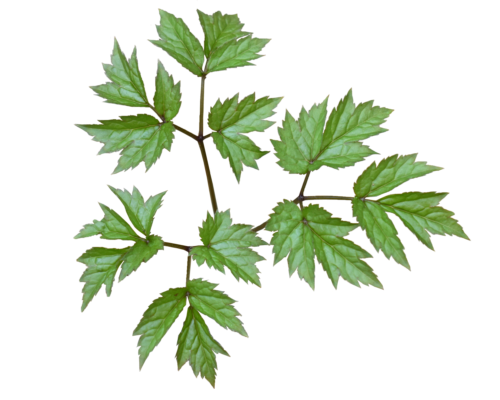 哈尔滨执业药师考点在哪个学校考